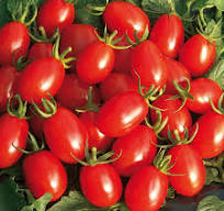 تصویر 3 از گوجه‌ فرنگی ارگانیک فصل با طعم عالی